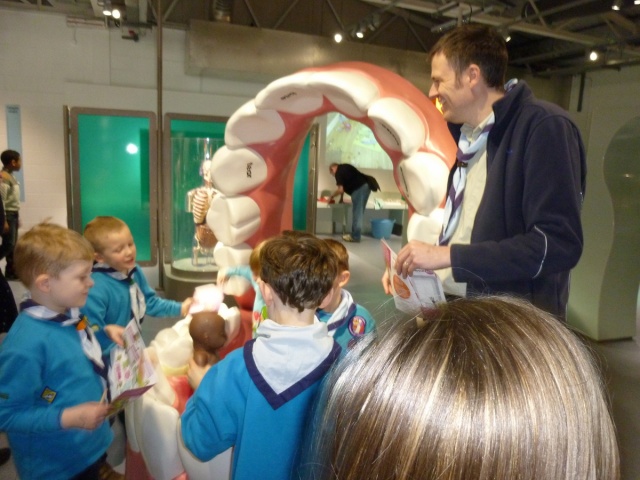 Beavers enjoying time at Eureka the Interactive and Educational Museum for kids
